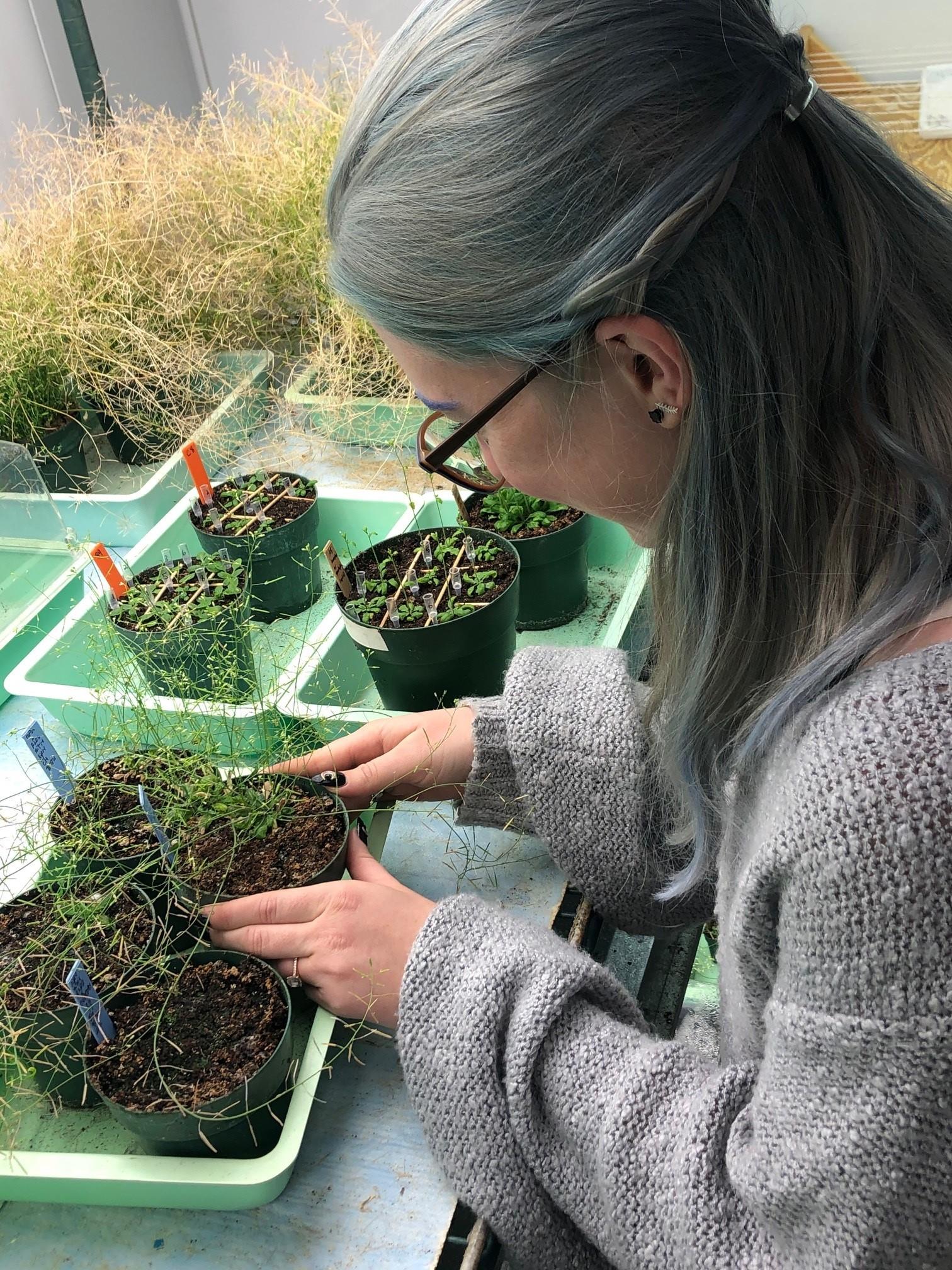 Erika Haws working with plants
