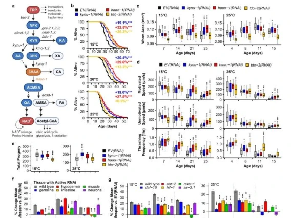 Diagram of Nature Article