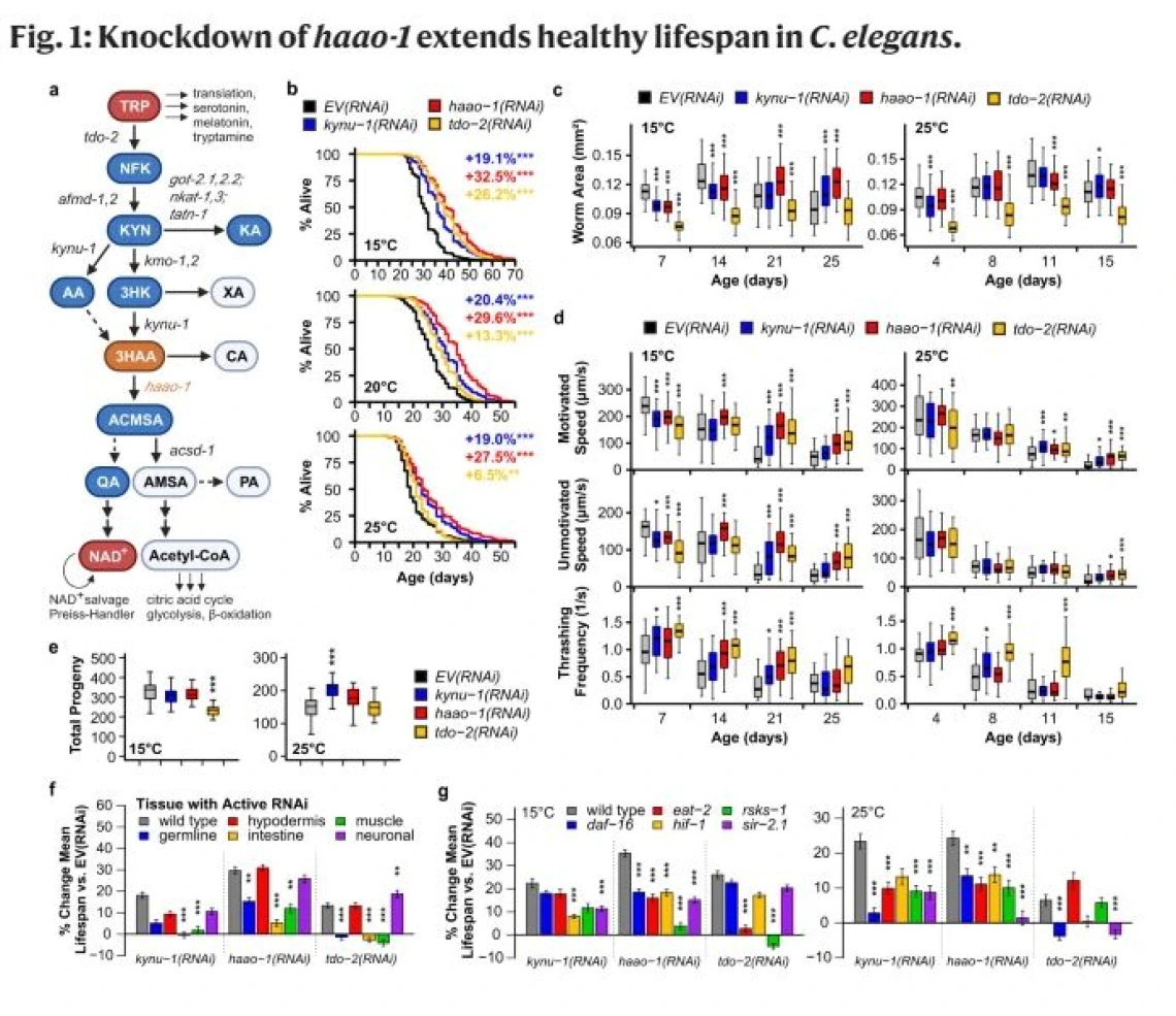 Diagram of Nature Article