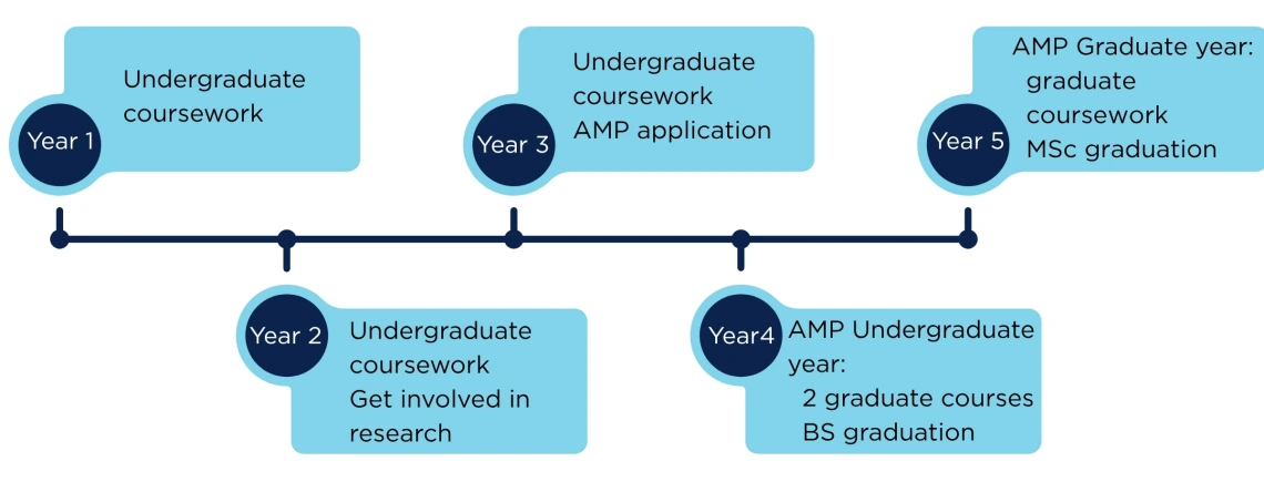 five-year timeline for the AMP degree program
